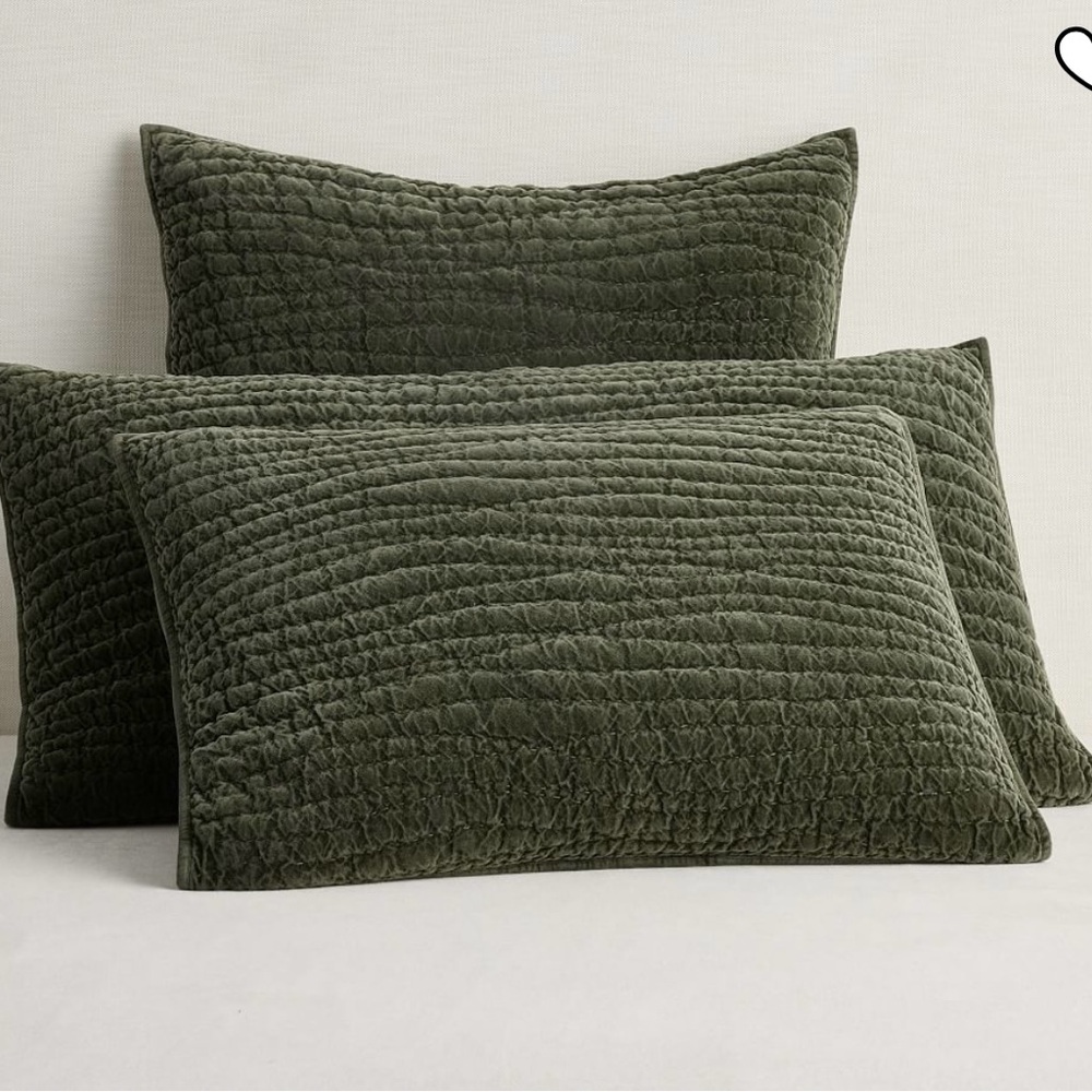 Pottery Barn Washed Velvet Handcrafted Quilted Sham Loden King Set